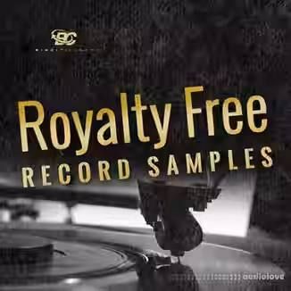 Big Citi Loops Royalty-Free Record Samples [WAV, REX]