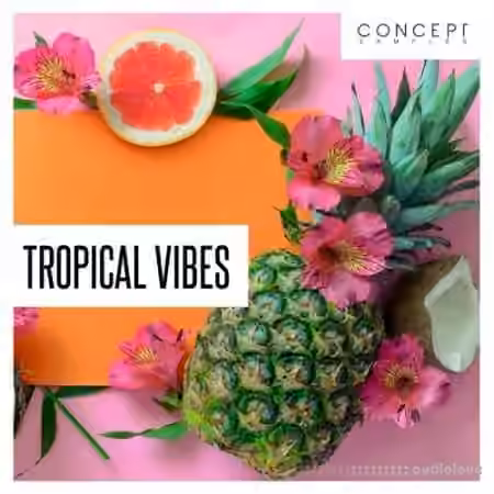 Concept Samples Tropical Vibes [WAV]