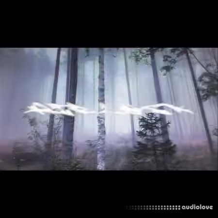 Filipmakesbeats Airlock Polykit [WAV]