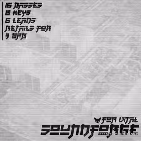 Foxhunt Soundforge For Matt Tytel's VITAL [Synth Presets]
