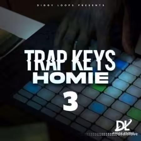 HOOKSHOW Trap Keys Homie 3 [WAV]