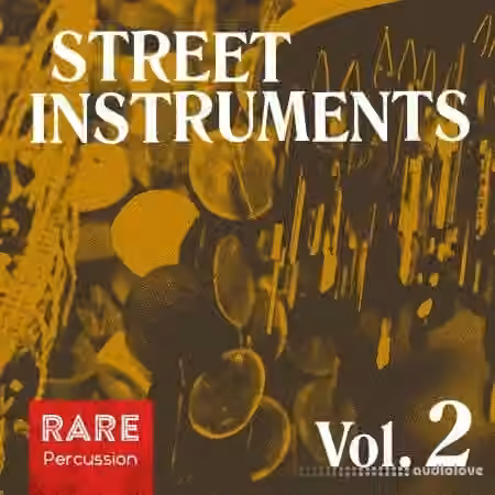 RARE Percussion Street Instruments Vol.2 [WAV]