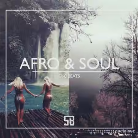 Shobeats Afro And Soul [WAV, MiDi, Synth Presets]
