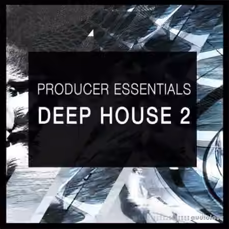 SPF Samplers Producer Essentials Deep House 2 [WAV, Synth Presets]