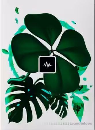 WavSupply JRHITMAKER Good Luck [MiDi]