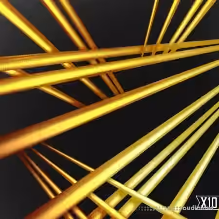 X10 String Theory Organic Trap and Processed Acoustics [WAV]